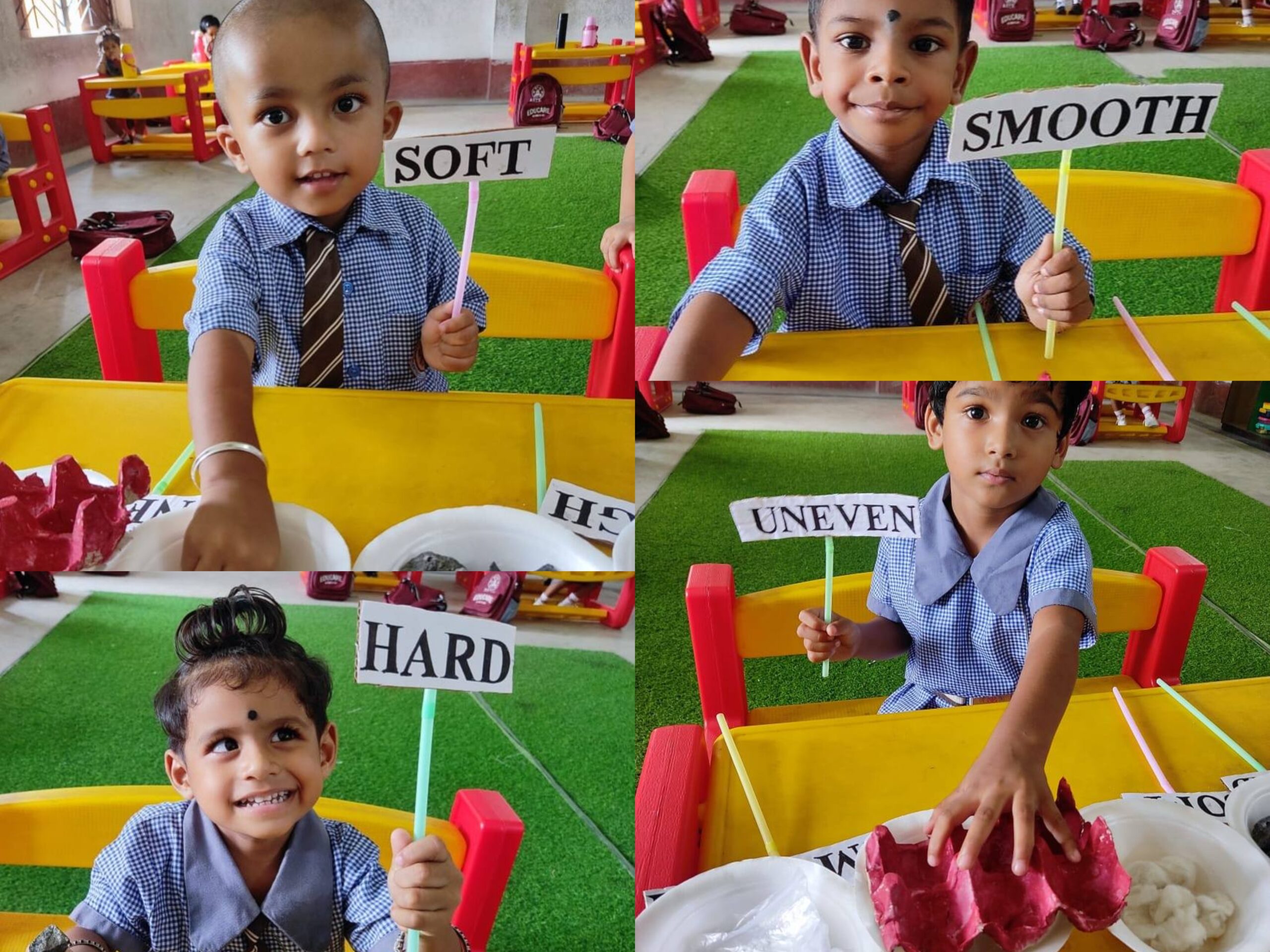 Read more about the article Sensory Play in Balvatika: Engaging the Senses, Enhancing Learning