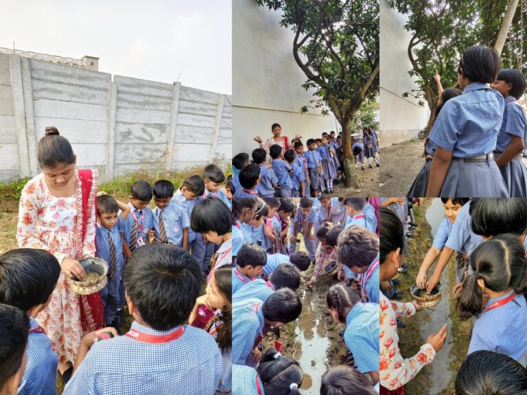 Read more about the article A Gentle Lesson from Nature – Learning Kindness and Coexistence